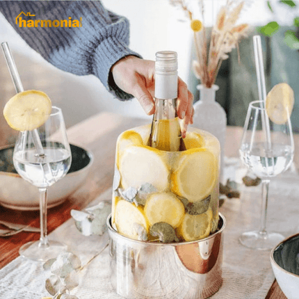 Portabotellas de Bebidas | Molde de Hielo Innovador – Enfríe con Estilo